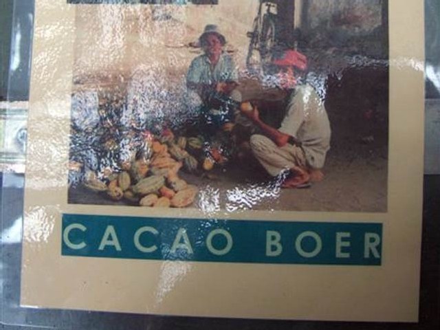 cacaoboer