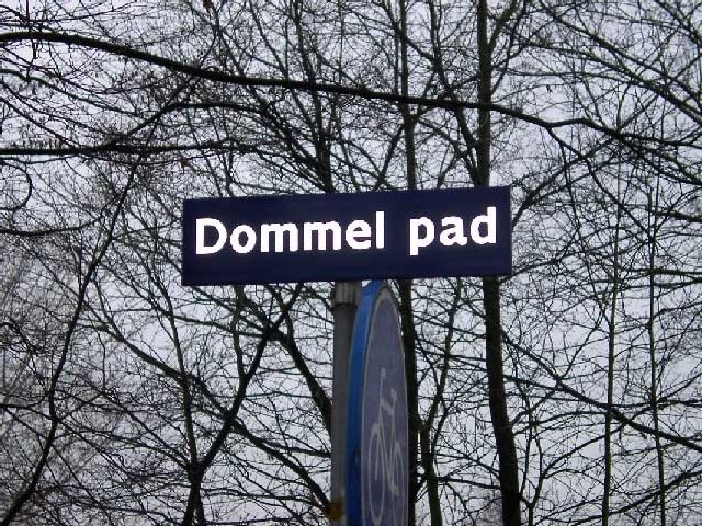 Dommelpad