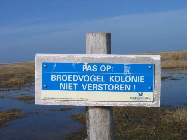 broedvogelkolonie