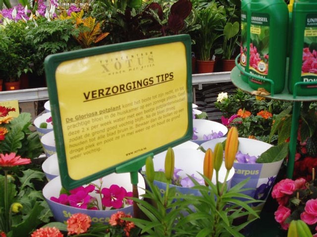 verzorgingstips