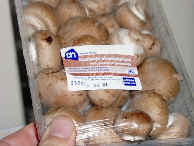 kastanjechampignons