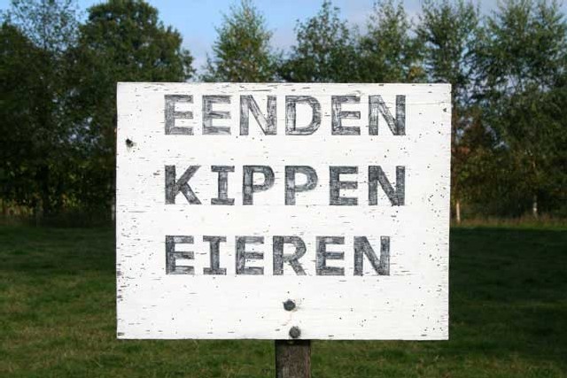 kippeneieren