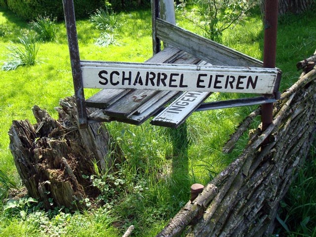 scharreleieren