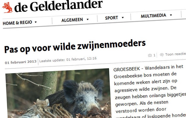 wildezwijnenmoeders