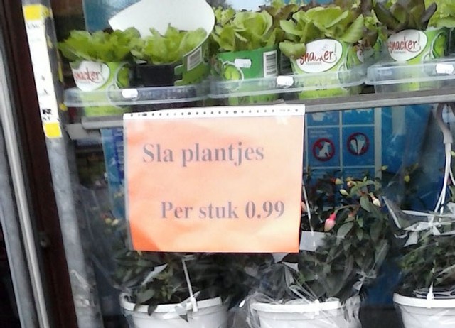 slaplantjes