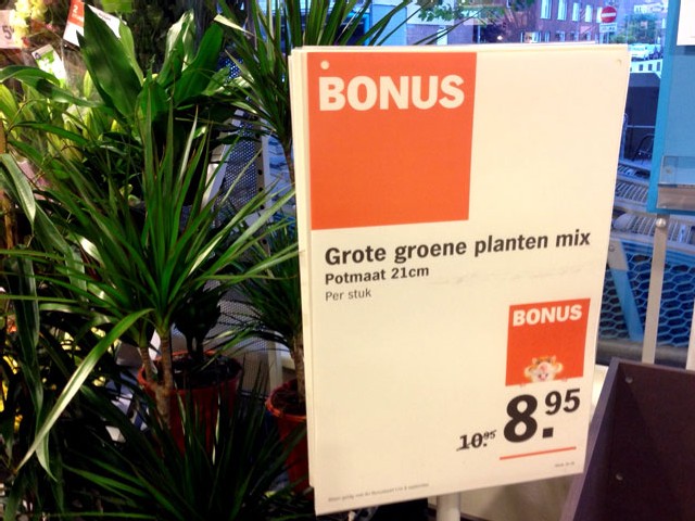 grotegroeneplantenmix