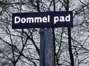 Dommelpad