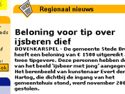 ijsberendief