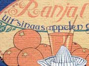 sinaasappelen