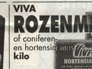 hortensiamest