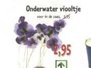 onderwaterviooltjes