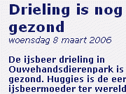 ijsbeerdrieling