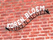 korenbloem