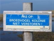 broedvogelkolonie