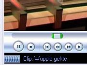 Wuppiegekte