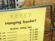 kokosinlegvel