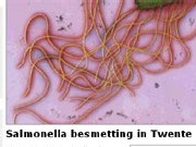 salmonellabesmetting