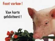 feestvarken