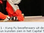 kungfubeoefenaars