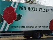 kamer- en tuinplanten