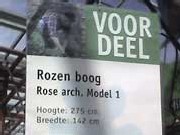 rozenboog
