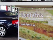 lente-ui