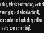 ter beschikking stellen