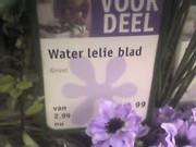 waterlelieblad