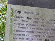 topliteratuur