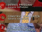 kanarieliefhebber