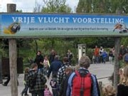 vrijevluchtvoorstelling