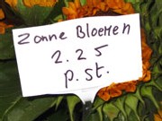 zonnebloemen