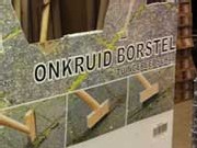 onkruidborstel