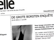 borstenenquête