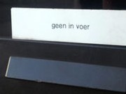 invoer