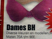 dames-bh