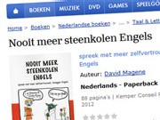 steenkolenengels