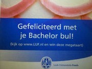 bachelorbul