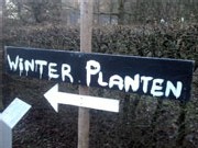 winterplanten