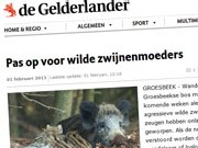 wildezwijnenmoeders