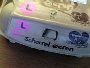 scharreleieren