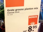 grotegroeneplantenmix