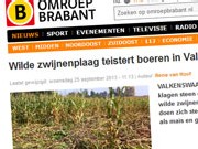 wildezwijnenplaag