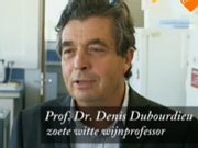 zoetewittewijnprofessor